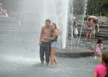 Quel chien ne supporte pas la chaleur ?