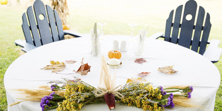 Comment dresser une chèvre ?