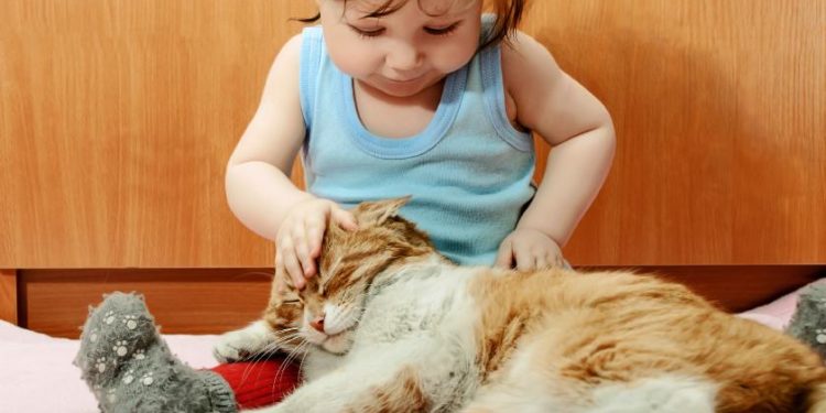 Comment vermifuger un chat qui a des vers ?