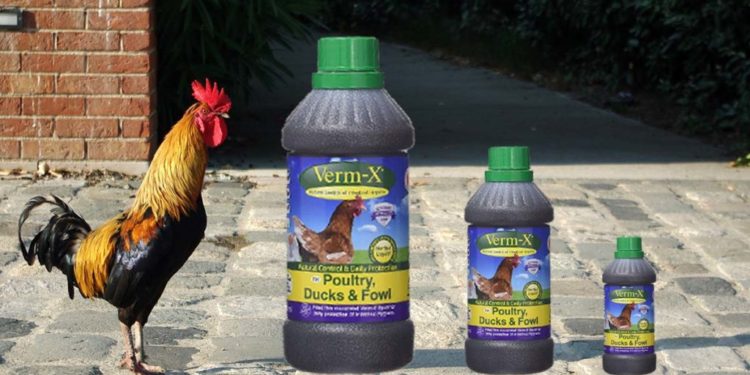 Quel vinaigre pour vermifuger les poules ?