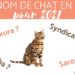 Quelle lettre pour les chat en 2021 ?