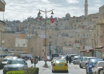 Quel animaux Avons-nous le droit d'avoir en France ?