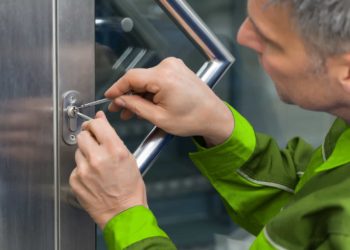 Quelles sont les qualités de la girafe ?