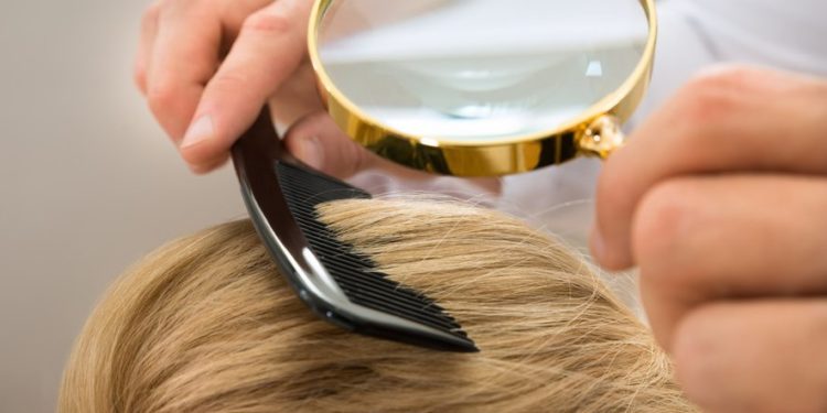 Comment savoir si mon cheval a des poux ?