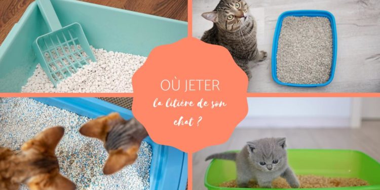 Où jeter la litière minérale ?