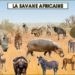 Quels sont les animaux qui vivent dans la savane ?