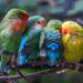 Quel oiseau Bouboule ?