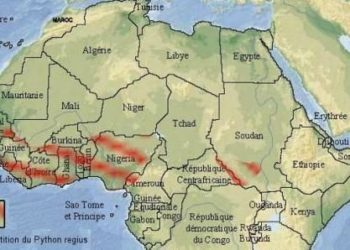 Où se trouve la savane au Cameroun ?