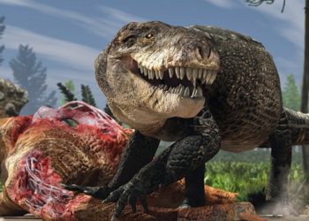 Quel est le crocodile le plus dangereux ?