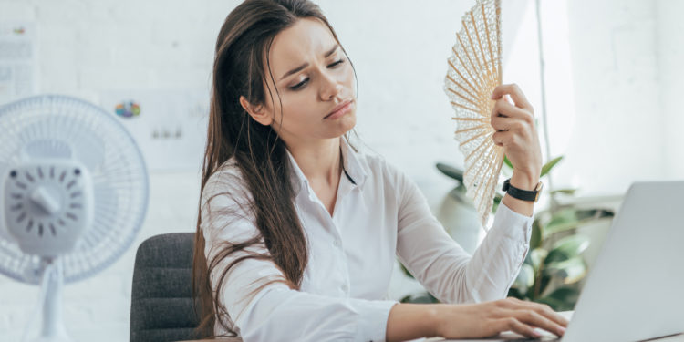 Quel température pour un pléco ?