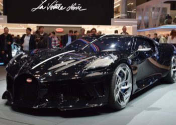 Quelle est la fourrure la plus douce ?