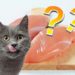Quelle viande Peut-on donner au chat ?