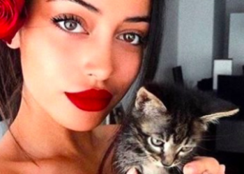 Comment avoir un chat blanc ?