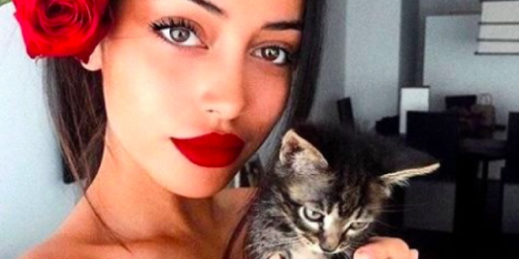 Comment avoir un chat blanc ?