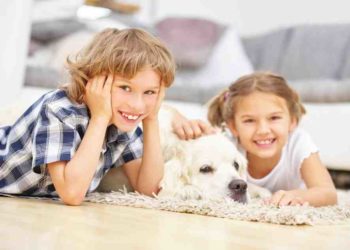 Quelle race de chien peut rester seul à la maison ?