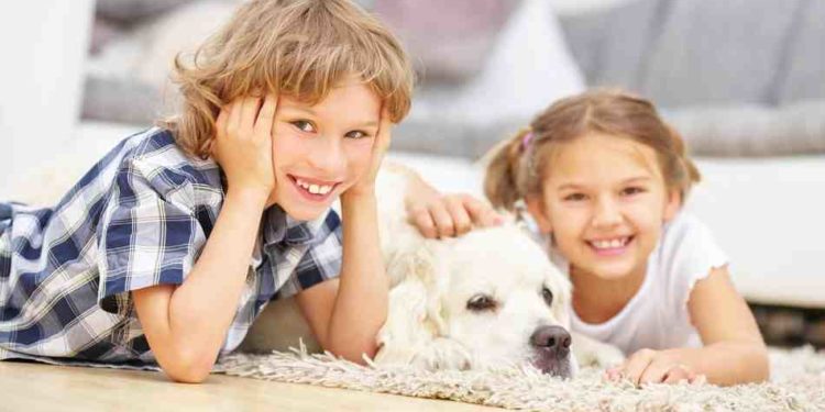 Quelle race de chien peut rester seul à la maison ?