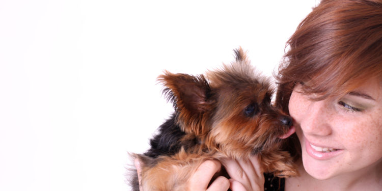 Quel chien pour quel maitre ?