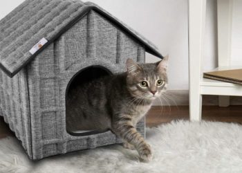 Où se niche les couleuvres ?