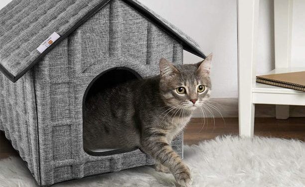 Où se niche les couleuvres ?