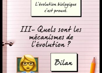 Quels sont les évolution de Flamiaou ?