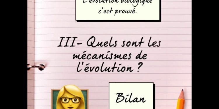 Quels sont les évolution de Flamiaou ?