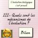 Quels sont les évolution de Flamiaou ?