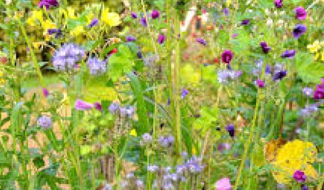 Pourquoi l'homme a besoin des animaux ?