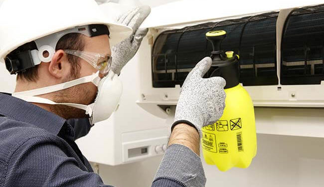 Comment nettoyer un chat qui sent mauvais ?