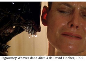 Quel est le masculin de Dulcinée ?