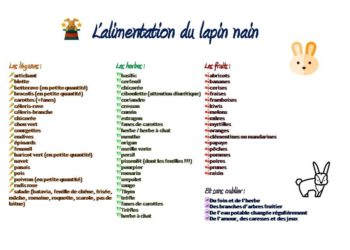 Quel aliment peut tuer un lapin ?