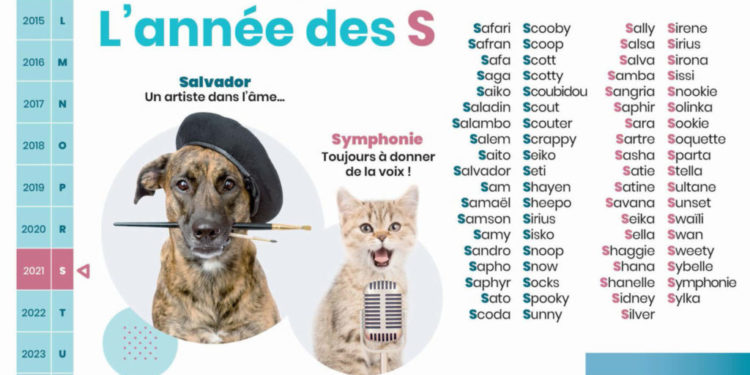 Quelle lettre pour les noms d'animaux en 2021 ?