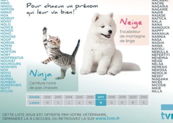 Quelle lettre pour animaux 2019 ?