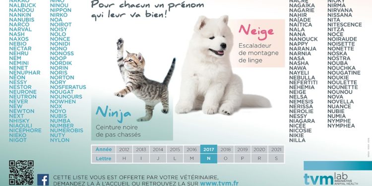 Quelle lettre pour animaux 2019 ?