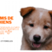 Quel nom de chien commençant par S ?