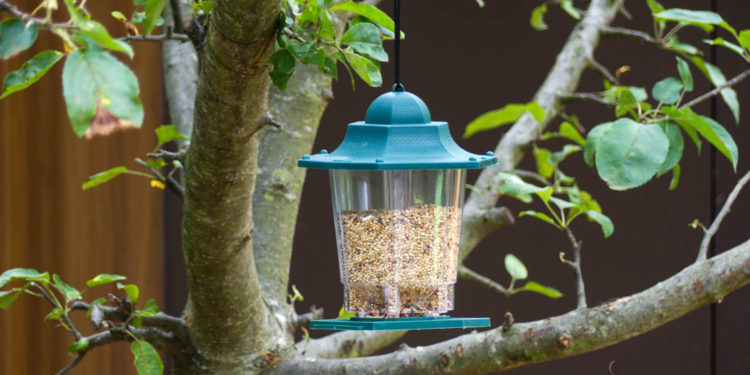 Comment appeler les oiseaux ?