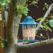 Comment appeler les oiseaux ?