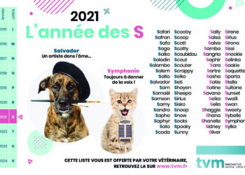 Quel nom pour les chiens nés en 2021 ?