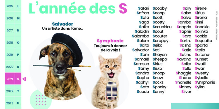 Quel nom pour les chiens nés en 2021 ?