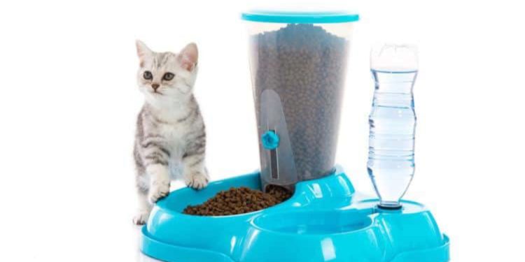 Quelle nourriture pour les moineaux ?