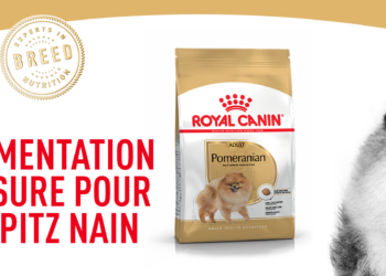 Quelle croquette pour Spitz allemand ?