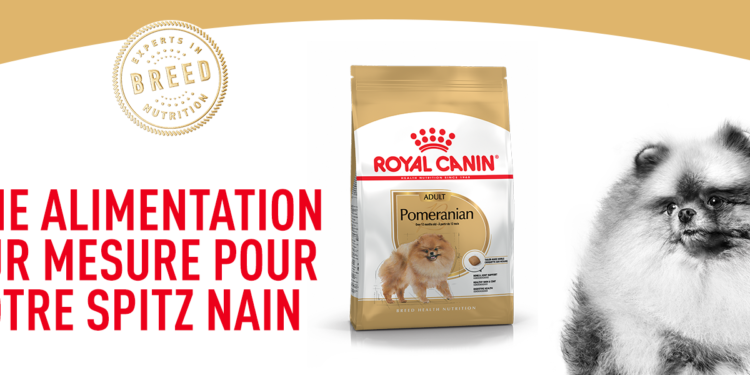 Quelle croquette pour Spitz allemand ?