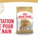 Quelle croquette pour Spitz allemand ?