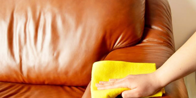 Comment nettoyer le pipi de chien sur un canapé ?