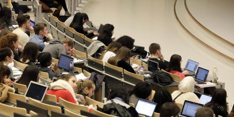 Où vont les mouches le soir ?