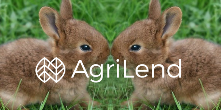 Qui tue les lapins ?