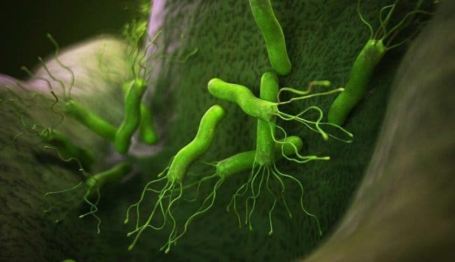 Comment éliminer Helicobacter pylori ?