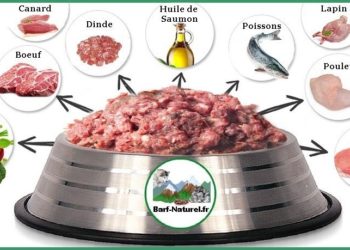 Quel viande pour BARF chien ?