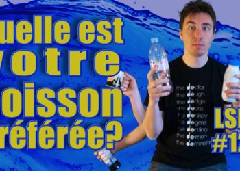 Quelle est la boisson préférée des chats ?