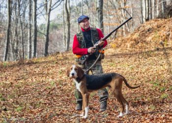 Quel est le meilleur chien de chasse du monde ?