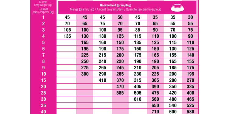 Quelle quantité de croquettes pour un chien de 28 kg ?